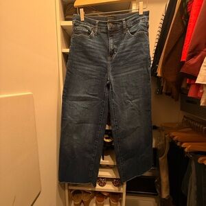 Banana Republic Factory Wide Leg Cropped Jeans